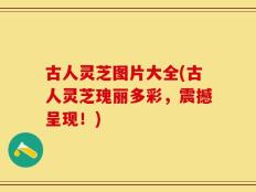 古人灵芝图片大全(古人灵芝瑰丽多彩，震撼呈现！)