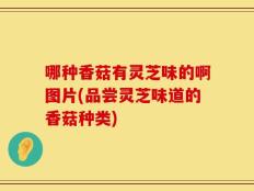 哪种香菇有灵芝味的啊图片(品尝灵芝味道的香菇种类)