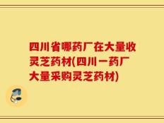 四川省哪药厂在大量收灵芝药材(四川一药厂大量采购灵芝药材)