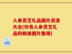 人参灵芝礼品图片高清大全(珍贵人参灵芝礼品的精美图片集锦)