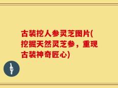 古装挖人参灵芝图片(挖掘天然灵芝参，重现古装神奇匠心)