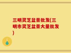 三明灵芝盆景批发(三明市灵芝盆景大量批发)