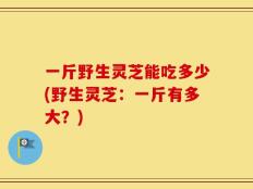 一斤野生灵芝能吃多少(野生灵芝：一斤有多大？)