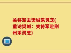 关将军去樊城采灵芝(重访樊城：关将军赴荆州采灵芝)