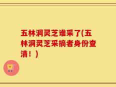 五林洞灵芝谁采了(五林洞灵芝采摘者身份查清！)