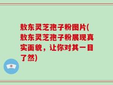 敖东灵芝孢子粉图片(敖东灵芝孢子粉展现真实面貌，让你对其一目了然)