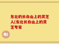 东北的长白山上的灵芝人(东北长白山上的灵芝专家