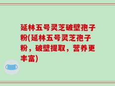 延林五号灵芝破壁孢子粉(延林五号灵芝孢子粉，破壁提取，营养更丰富)