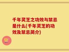 千年灵芝之功效与禁忌是什么(千年灵芝的功效及禁忌简介)