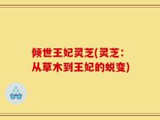 倾世王妃灵芝(灵芝：从草木到王妃的蜕变)