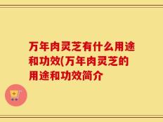 万年肉灵芝有什么用途和功效(万年肉灵芝的用途和功效简介