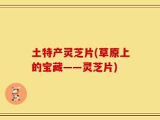 土特产灵芝片(草原上的宝藏——灵芝片)