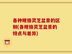 各种规格灵芝盆景的区别(各规格灵芝盆景的特点与差异)
