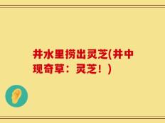 井水里捞出灵芝(井中现奇草：灵芝！)
