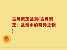 古月灵芝盆景(古月灵芝：盆景中的奇异之物)