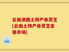 云南滇西土特产赤灵芝(云南土特产赤灵芝走俏市场)