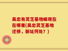 吴忠有灵芝基地嘛现在在哪里(吴忠灵芝基地迁移，新址何处？)
