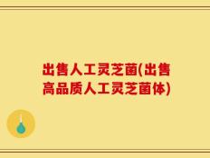 出售人工灵芝菌(出售高品质人工灵芝菌体)
