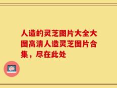 人造的灵芝图片大全大图高清人造灵芝图片合集，尽在此处