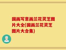 国画写意画兰花灵芝图片大全(国画兰花灵芝图片大合集)