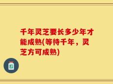 千年灵芝要长多少年才能成熟(等待千年，灵芝方可成熟)