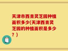天津市西青灵芝园种植面积多少(天津西青灵芝园的种植面积是多少？)