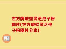 世方牌破壁灵芝孢子粉图片(世方破壁灵芝孢子粉图片分享)