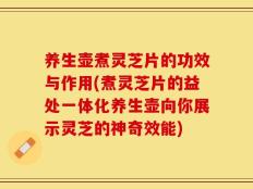 养生壶煮灵芝片的功效与作用(煮灵芝片的益处一体化养生壶向你展示灵芝的神奇效能)