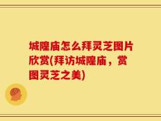 城隍庙怎么拜灵芝图片欣赏(拜访城隍庙，赏图灵芝之美)