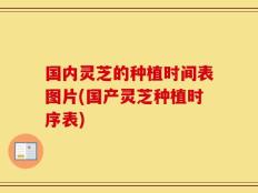 国内灵芝的种植时间表图片(国产灵芝种植时序表)