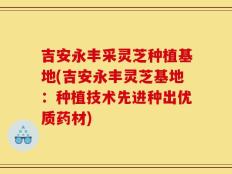 吉安永丰采灵芝种植基地(吉安永丰灵芝基地：种植技术先进种出优质药材)