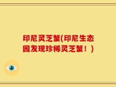 印尼灵芝蟹(印尼生态园发现珍稀灵芝蟹！)