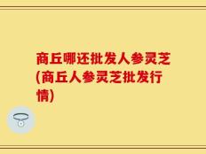 商丘哪还批发人参灵芝(商丘人参灵芝批发行情)