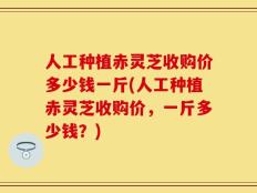 人工种植赤灵芝收购价多少钱一斤(人工种植赤灵芝收购价，一斤多少钱？)