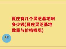 夏庄有几个灵芝基地啊多少钱(夏庄灵芝基地数量与价格概览)