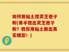 如何用粘土捏灵芝孢子粉(用手捏出灵芝孢子粉？教你用粘土做出真实模型！)