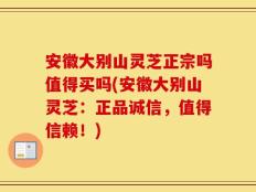 安徽大别山灵芝正宗吗值得买吗(安徽大别山灵芝：正品诚信，值得信赖！)