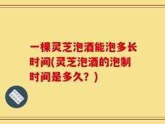 一棵灵芝泡酒能泡多长时间(灵芝泡酒的泡制时间是多久？)