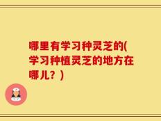 哪里有学习种灵芝的(学习种植灵芝的地方在哪儿？)