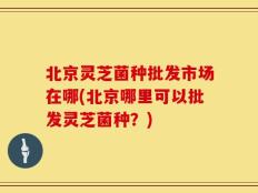 北京灵芝菌种批发市场在哪(北京哪里可以批发灵芝菌种？)