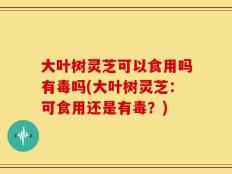 大叶树灵芝可以食用吗有毒吗(大叶树灵芝：可食用还是有毒？)