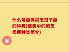 什么是菌像灵芝孢子菌的种类(菌类中的灵芝类菌种类简介)
