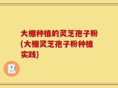 大棚种植的灵芝孢子粉(大棚灵芝孢子粉种植实践)