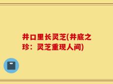 井口里长灵芝(井底之珍：灵芝重现人间)