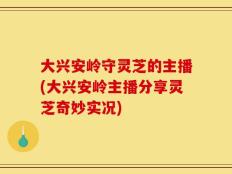 大兴安岭守灵芝的主播(大兴安岭主播分享灵芝奇妙实况)