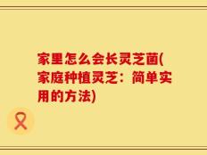 家里怎么会长灵芝菌(家庭种植灵芝：简单实用的方法)