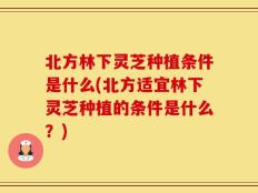 北方林下灵芝种植条件是什么(北方适宜林下灵芝种植的条件是什么？)