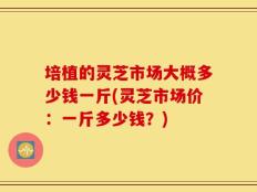 培植的灵芝市场大概多少钱一斤(灵芝市场价：一斤多少钱？)