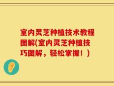 室内灵芝种植技术教程图解(室内灵芝种植技巧图解，轻松掌握！)
