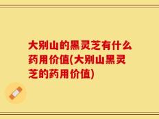大别山的黑灵芝有什么药用价值(大别山黑灵芝的药用价值)